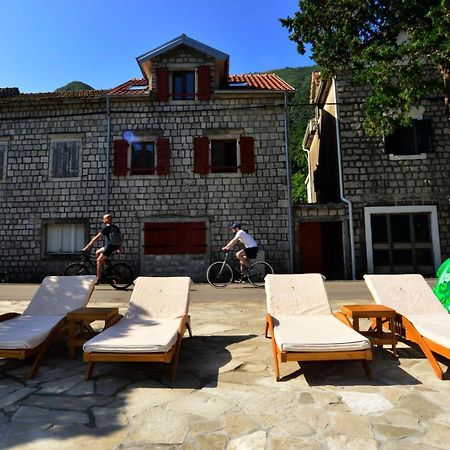 A Hundred Olive Trees Apartments Κότορ Εξωτερικό φωτογραφία