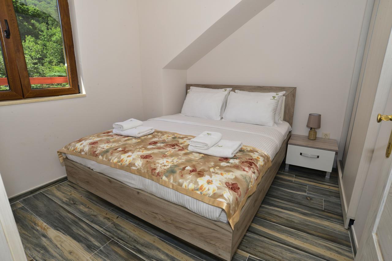 A Hundred Olive Trees Apartments Κότορ Εξωτερικό φωτογραφία