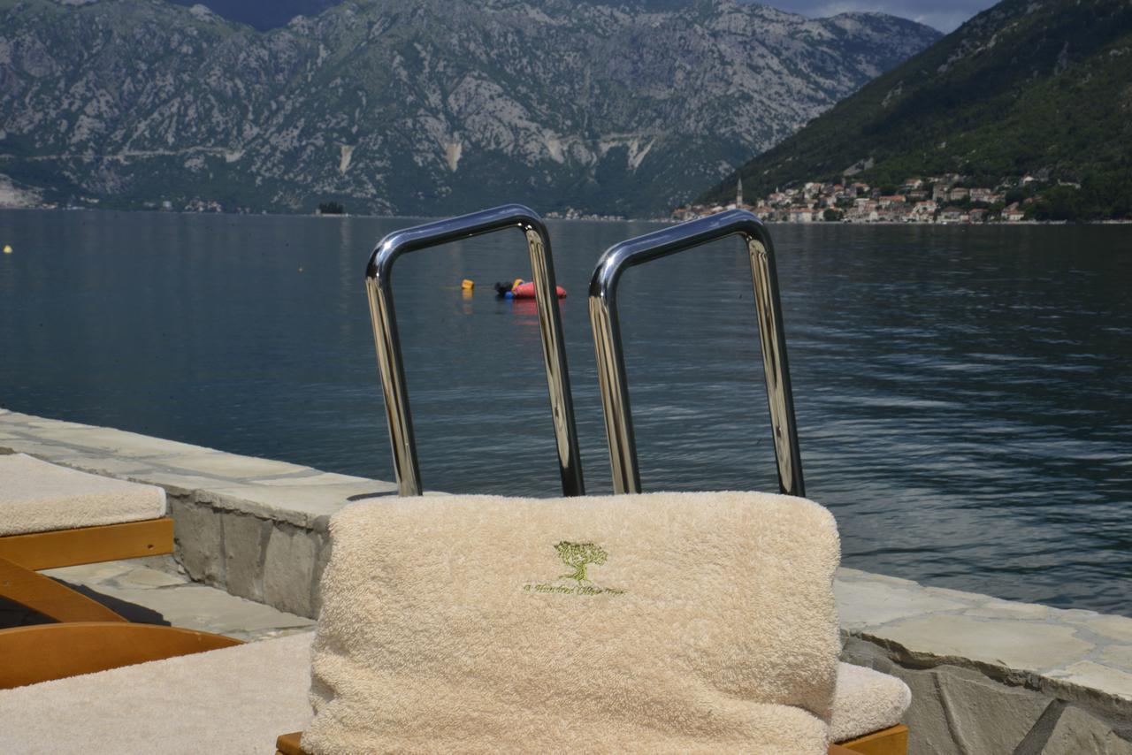 A Hundred Olive Trees Apartments Κότορ Εξωτερικό φωτογραφία