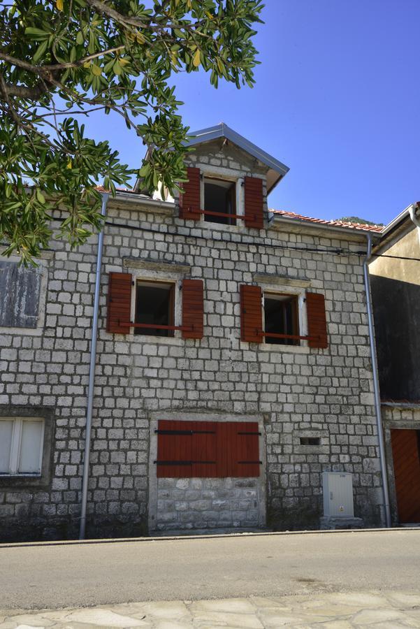 A Hundred Olive Trees Apartments Κότορ Εξωτερικό φωτογραφία