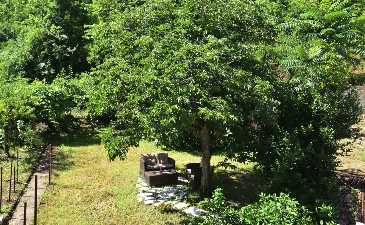 A Hundred Olive Trees Apartments Κότορ Εξωτερικό φωτογραφία