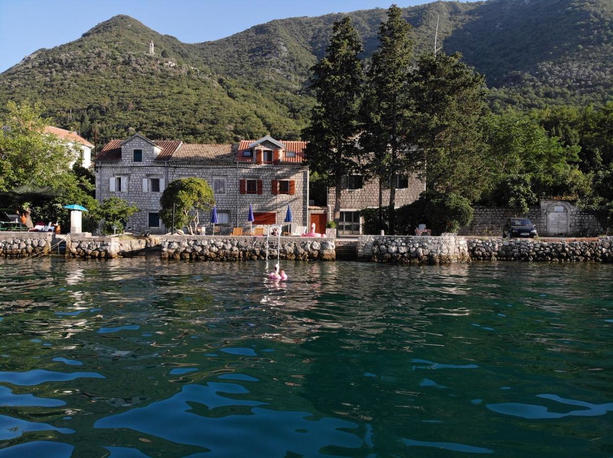 A Hundred Olive Trees Apartments Κότορ Εξωτερικό φωτογραφία