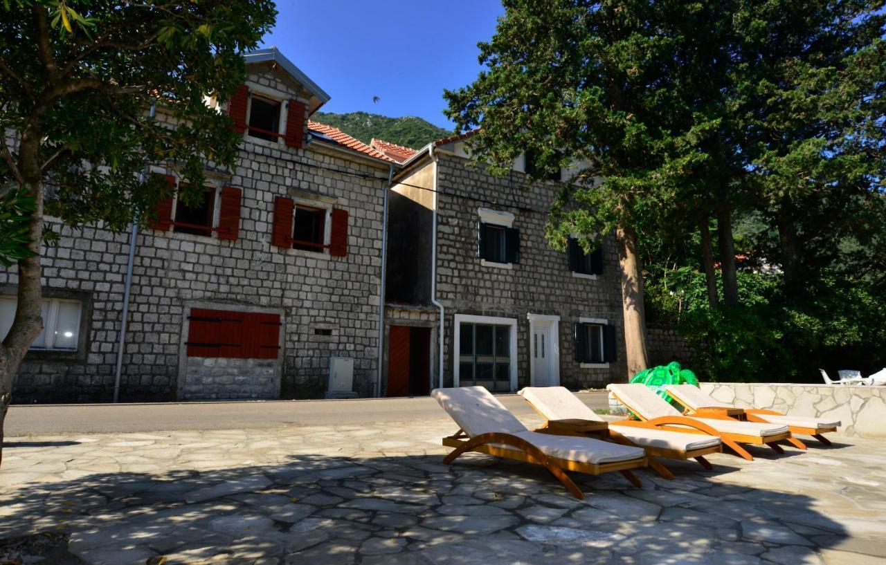 A Hundred Olive Trees Apartments Κότορ Εξωτερικό φωτογραφία