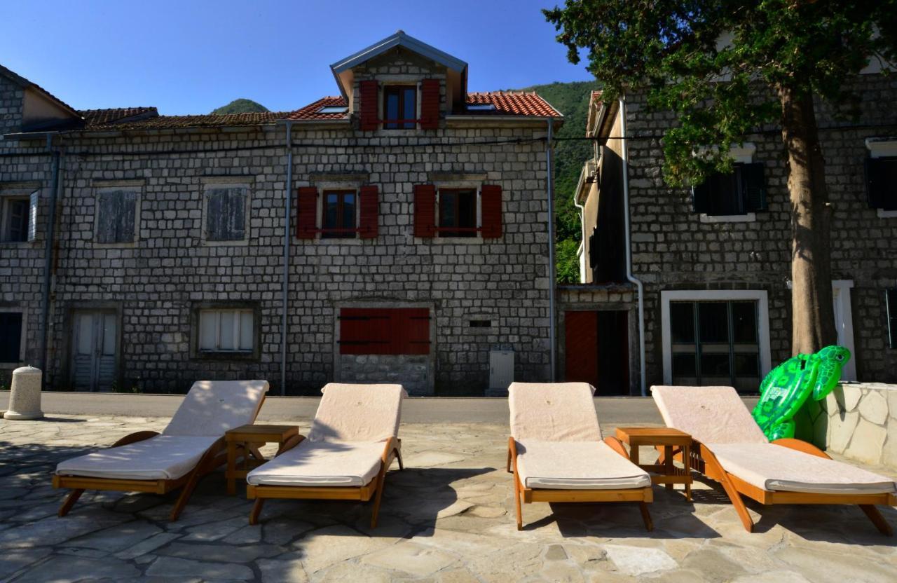 A Hundred Olive Trees Apartments Κότορ Εξωτερικό φωτογραφία