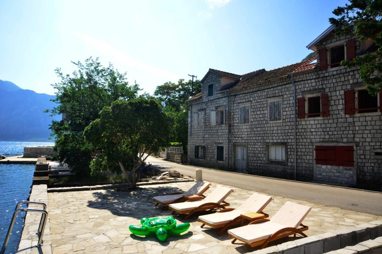 A Hundred Olive Trees Apartments Κότορ Εξωτερικό φωτογραφία