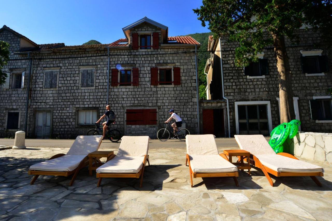 A Hundred Olive Trees Apartments Κότορ Εξωτερικό φωτογραφία