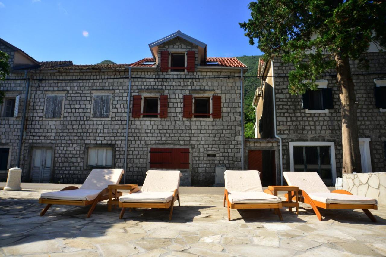 A Hundred Olive Trees Apartments Κότορ Εξωτερικό φωτογραφία