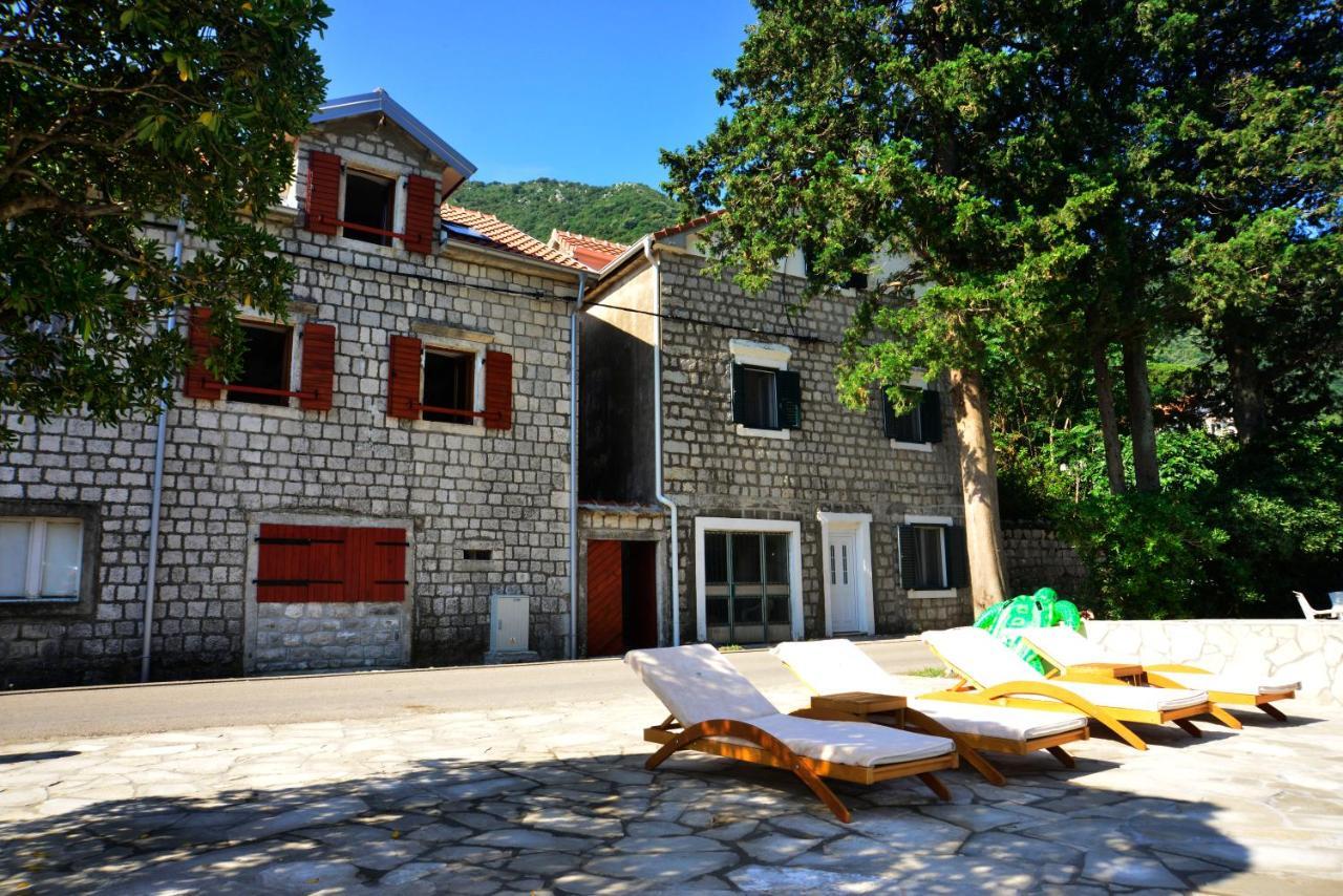 A Hundred Olive Trees Apartments Κότορ Εξωτερικό φωτογραφία